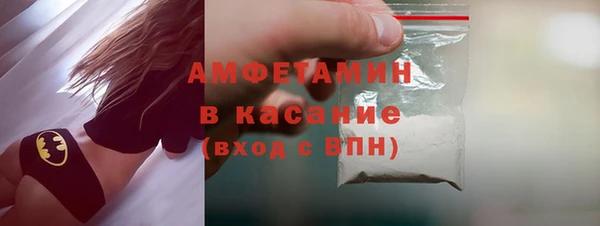 индика Богданович